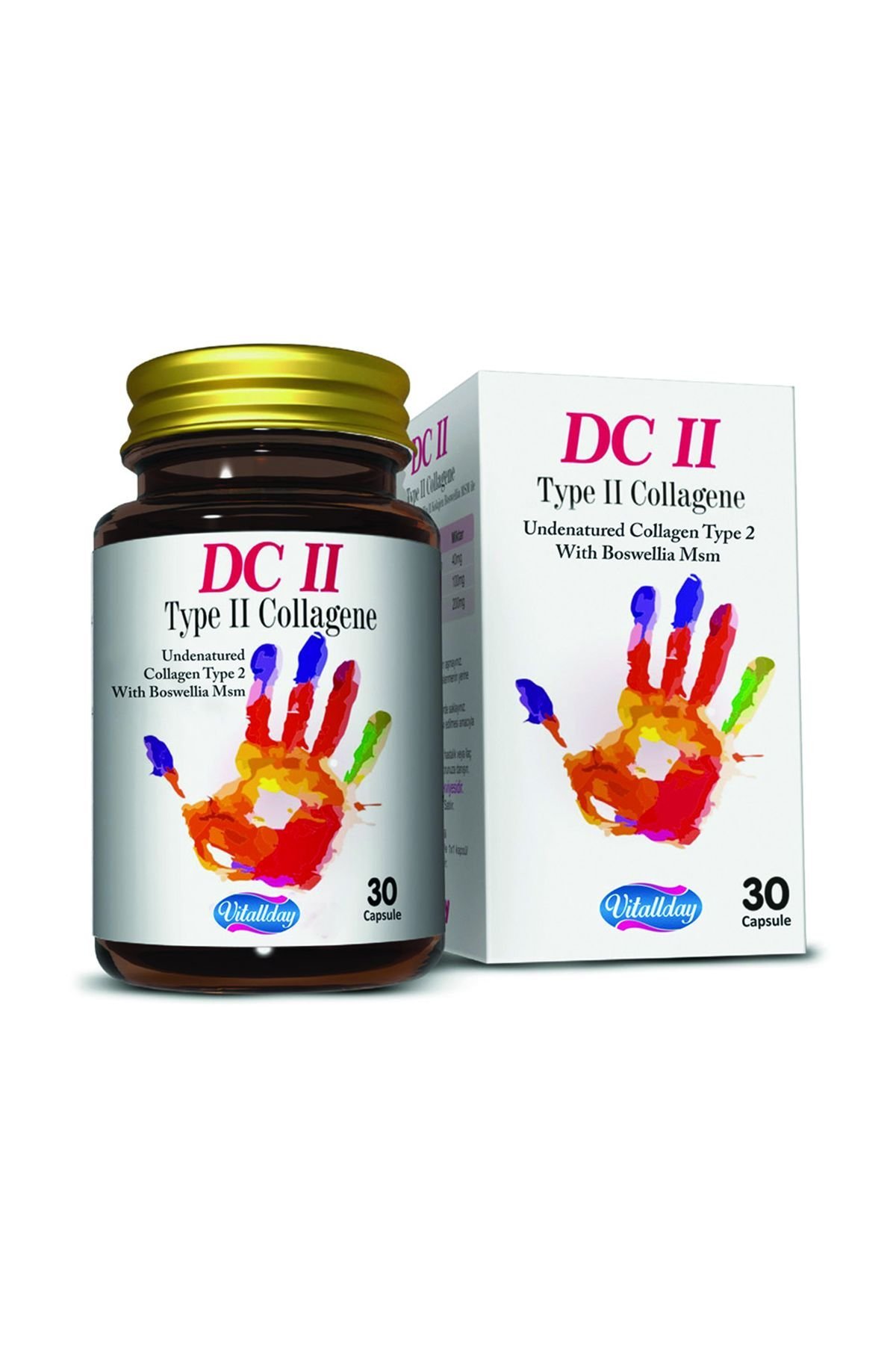 DC 2 TYPE 2 KOLLEJEN
