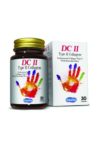 DC 2 TYPE 2 KOLLEJEN