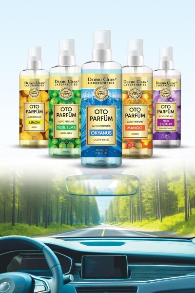 DERMO CLEAN DOĞAL MEYVE ÖZLÜ YEŞİL ELMA KOKULU OTO PARFÜM 100 ML - 2'Lİ SET